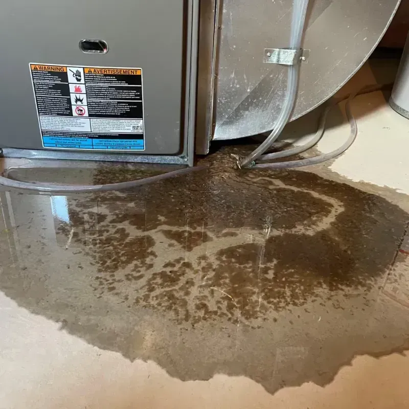 Appliance Leak Cleanup in Kiowa County, CO